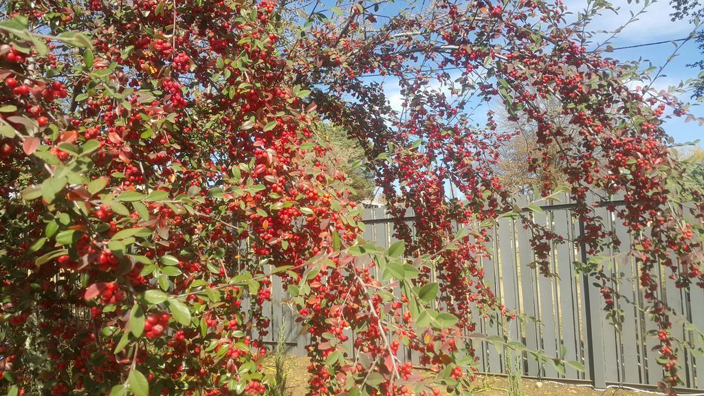 Upper House Guesthouse Clarens Bagian luar foto